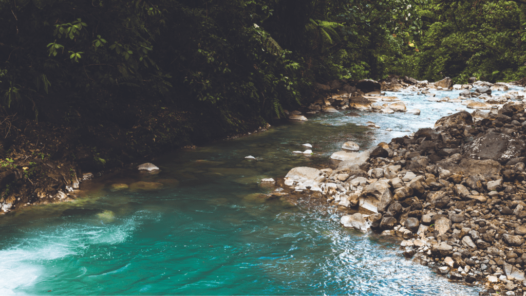 Protecting Costa Rica’s Forests and Our Quality of Life