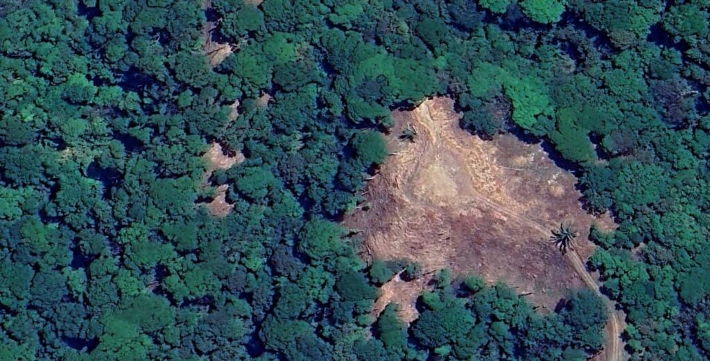 Dominical’s Water Crisis: The Shocking Truth Behind the Illegal Development Project​