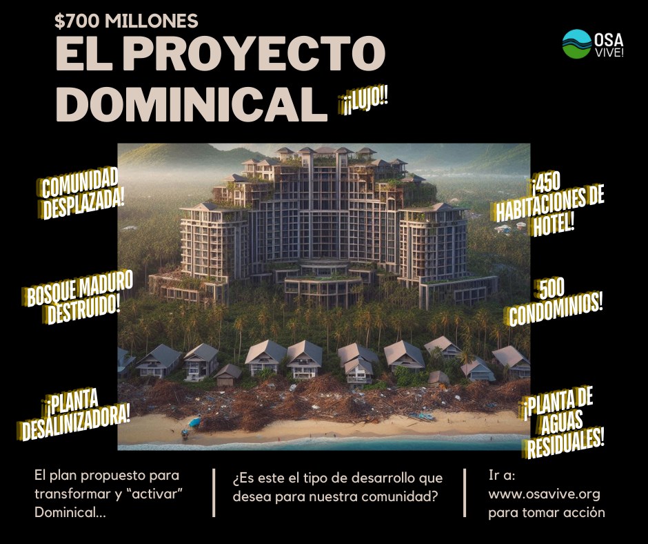 The Dominical Project