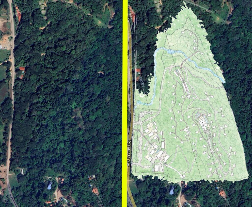 The plans that could destroy a mountainside forest