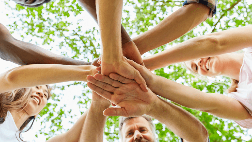 OSA VIVE’S YEAR IN REVIEW